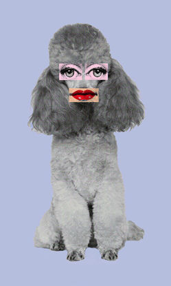 24 x 40 Poodle Lips V (IBG)