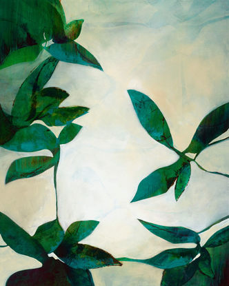 47 X 59 Plant Pattern II (Custom) (Outdoor)