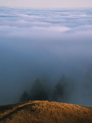 40 x 60 Mt. Tam Vista (PX)