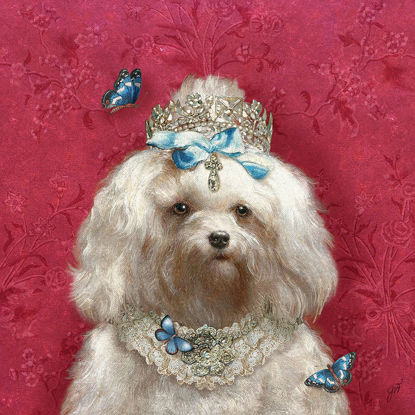 30 x 30 Queenie (BWD)