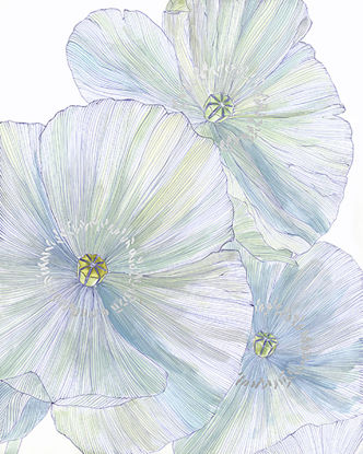 36 x 45 Summer Petals I (FC)
