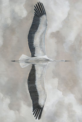 30 x 45 Flying Elegance (FC)