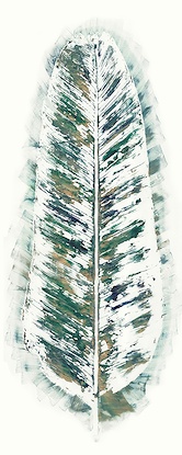 24 x 60 Feathering I (IBG)