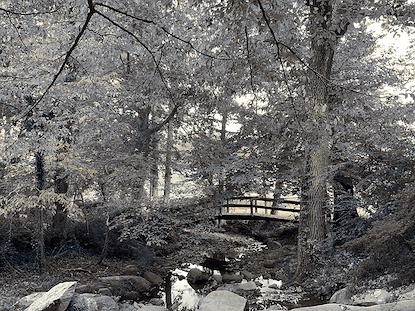 48 x 36 Honeymoon Bridge I (MT)