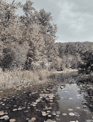 Water Crossing I (MT)