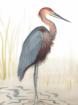 54 x 72 Birds on Water I (EP)