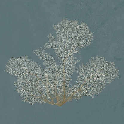 24 x 24 Beauty Under the Sea X (LN)