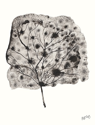 16 x 20 Plant Life V (GF)