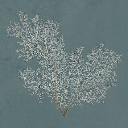 24 x 24 Beauty Under the Sea VII (LN)