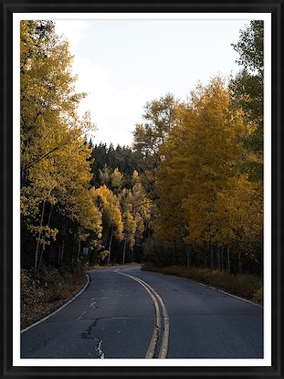 30 x 40 Golden Way (GF)