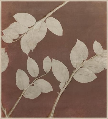 20 x 22 Mink Lemon Leaf (LN)