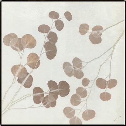30 x 30 Eucalyptus Topaz II (LN)