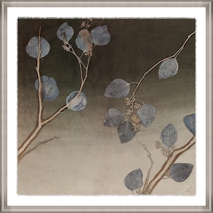 40 x 40 Eucalyptus Gradient (GF)