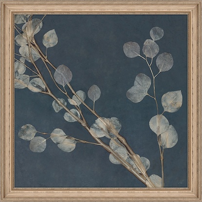 30 x 30 Midnight Eucalyptus I (FMA-LN)