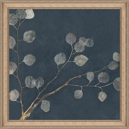 30 x 30 Midnight Eucalyptus II (FMA-LN)