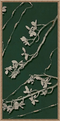 30 x 60 Wild Orchid II (GFGP)