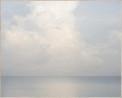 50 x 40 Still (BC)