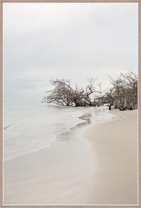 30 x 45 Deserted (MT)