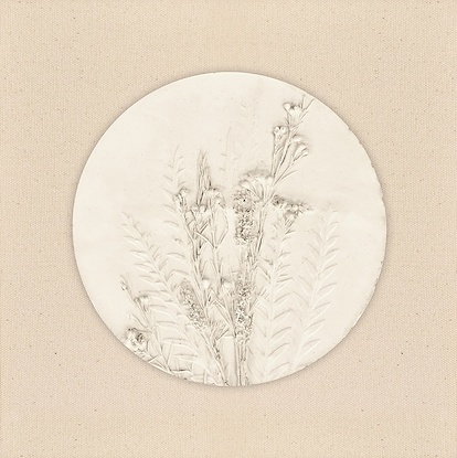 12 x 12 Subtle Impressions IV (WS)