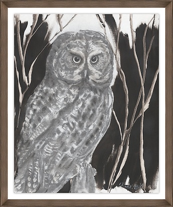 20 x 24 Great Gray Owl (GF)
