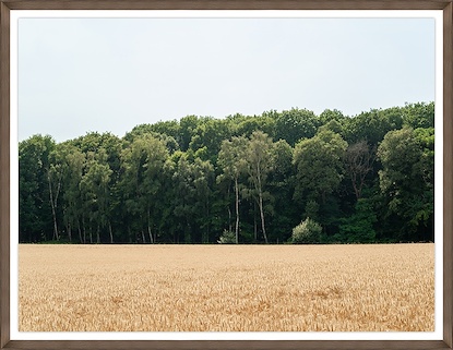 40 x 31 Field (Taunus, Germany) (GF)