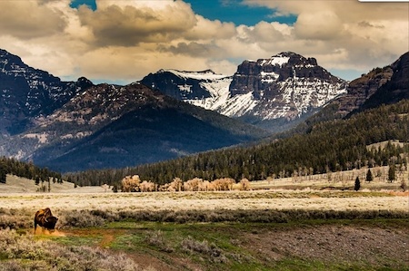 Picture for category ARTIST-Colorado Born Images by Rebecc