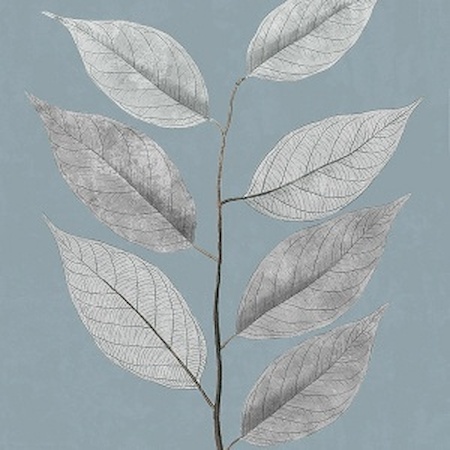 Picture for category IMMEDIATE-STOCK-NATURE