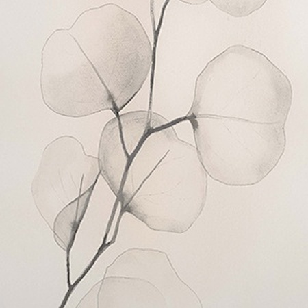 Picture for category IMMEDIATE-STOCK-EARTHY-NEUTRALS