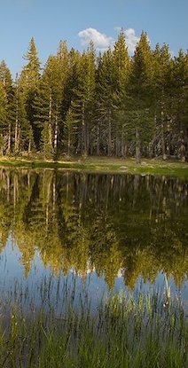 24 x 47 Pond in the Sierras III (EP)
