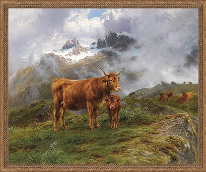 30 x 24 Highland Cattle (FMA-IBG)
