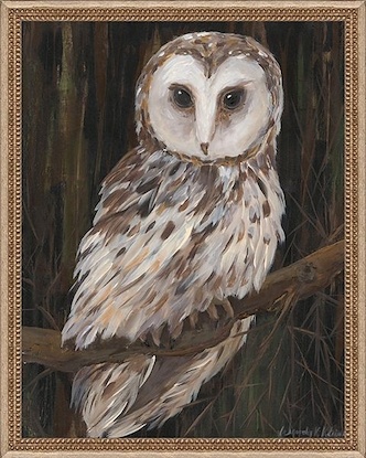 20 x 25 Moving on Owl (FMA-IBG)