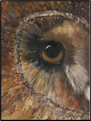 24 x 32 Timmy I (IBG)