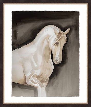 36 x 43 Pegasus (GF)