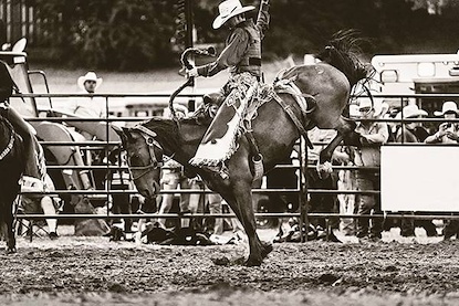 20 x 13 Sepia Showdown I (FC)