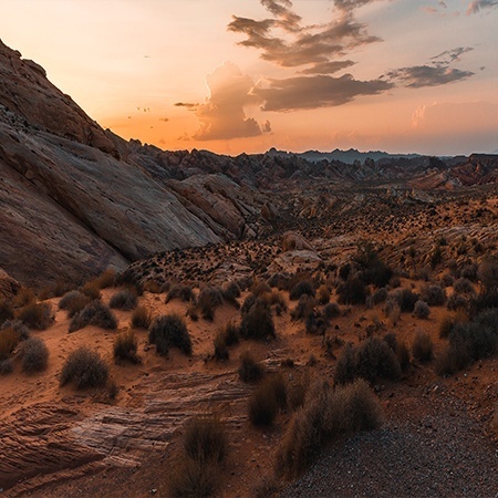 Picture for category IMMEDIATE-STOCK-SOUTHWESTERN