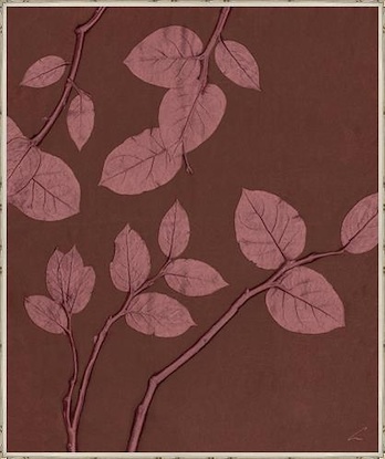 30 x 36 Rose (rosay) Eucalyptus I (LN)