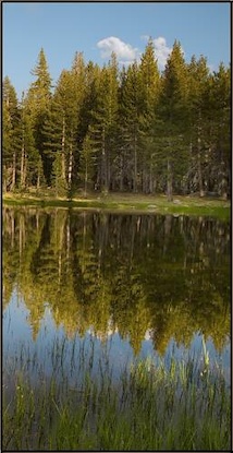 24 x 47 Pond in the Sierras III (EP)