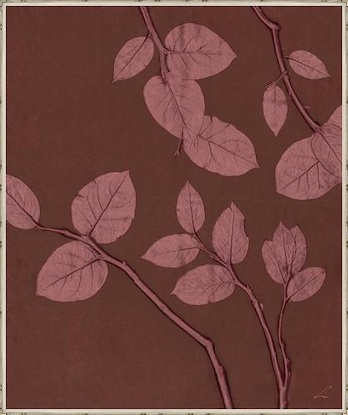 30 x 36 Rose (rosay) Eucalyptus II (LN)