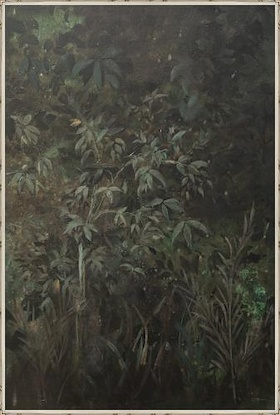 30 x 45 Wildwood II (LNHE)