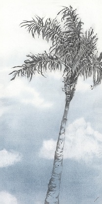 30 x 60 Del Mar Palms  II (LN)